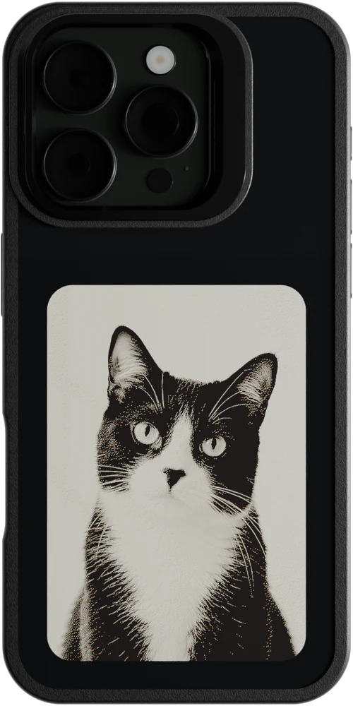 猫の写真を表示したMyCase