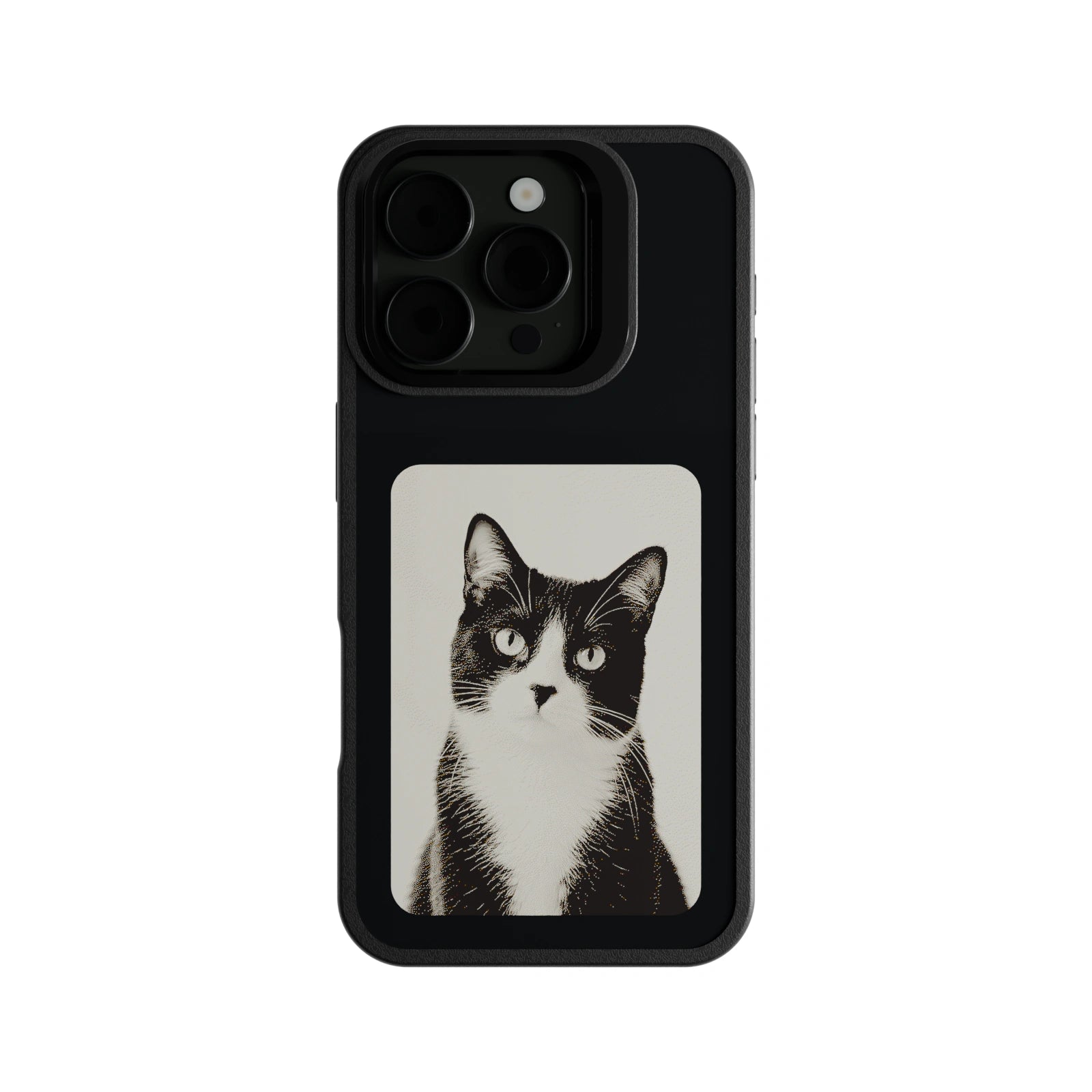 猫の写真を表示したMyCase